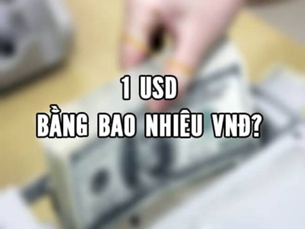 1 USD bằng bao nhiêu tiền Việt? Vì sao USD lại phổ biến như vậy