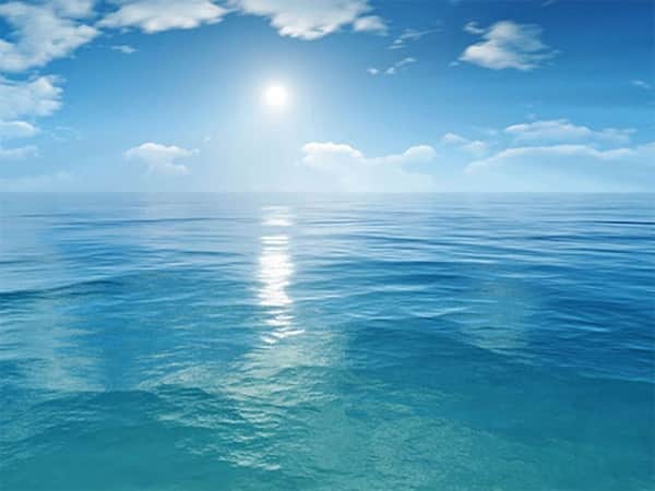 Vì sao độ muối của các biển và đại dương lại khác nhau?